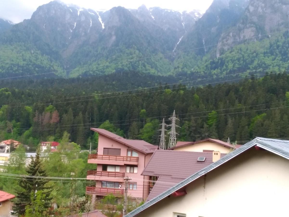 Casa Zura Buşteni Exterior foto